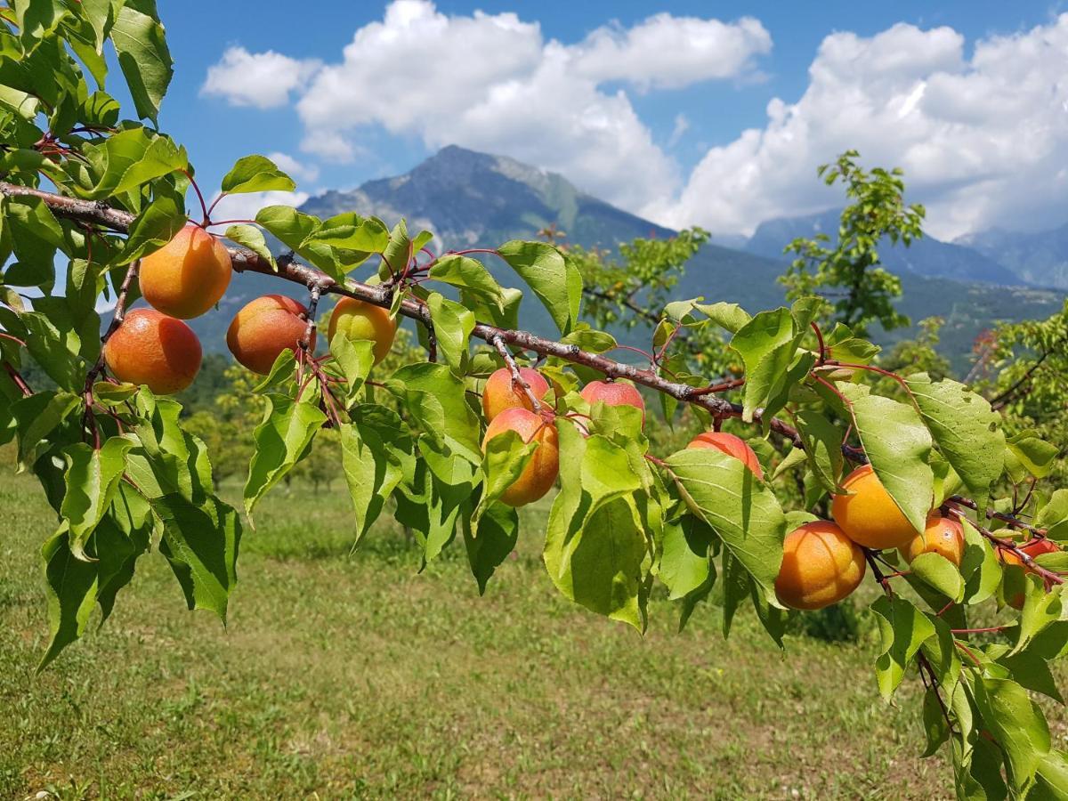 AGRITURISMO La Giasena Ponte nellʼAlpi Exterior foto